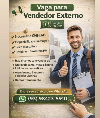 Vendedor Externo