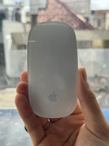 Magic Mouse Apple