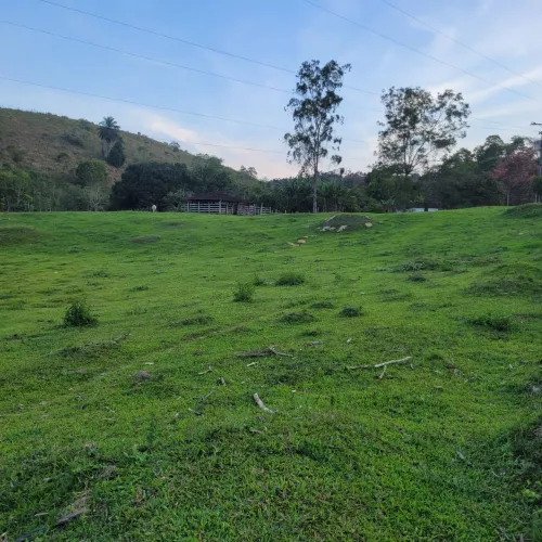 Fazenda de 12 Ha a 1000 Ha 