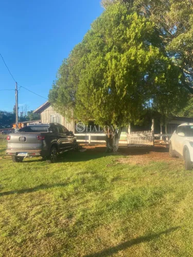 Sítio à venda em Roncador, Alto São João, com 3 quartos, com 10.3 alqueires