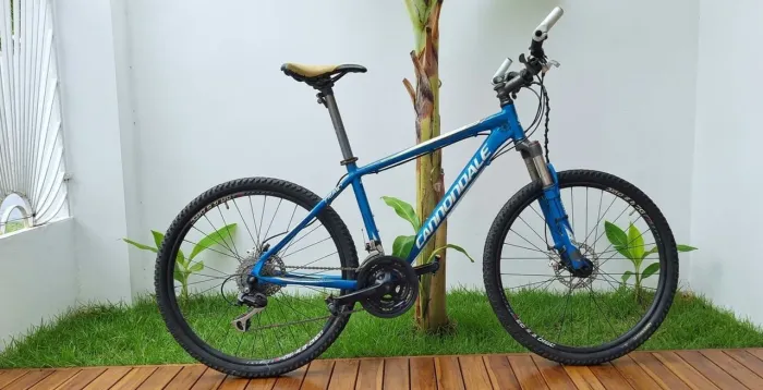 Cannondale Aro 26