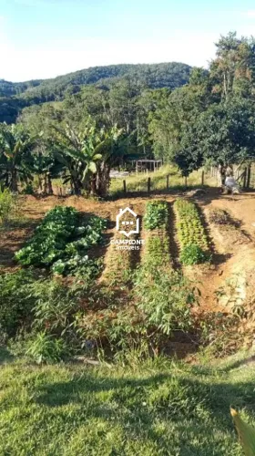 Chácara com 3 dormitórios à venda, 1160 m² por R$ 250.000,00 - Piedade - Piedade/SP