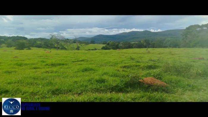 Fazenda à Venda em Pirenópolis  GO | 17,5 Alqueires | Rica em Água