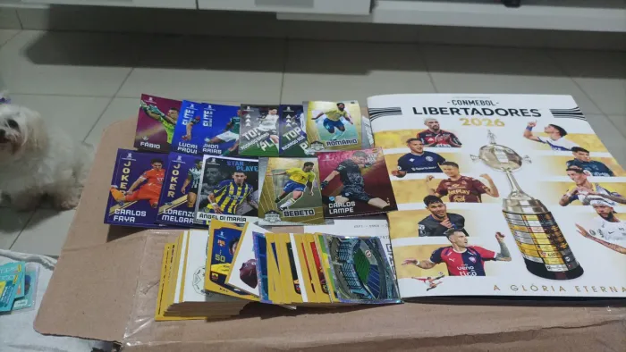 Álbum de figurinhas