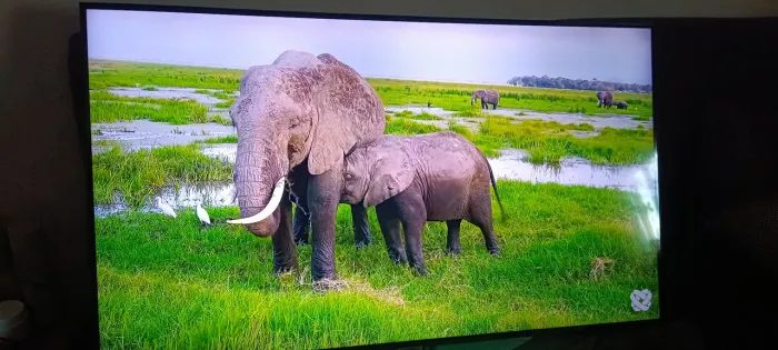 Tv Samsung led 43 4k