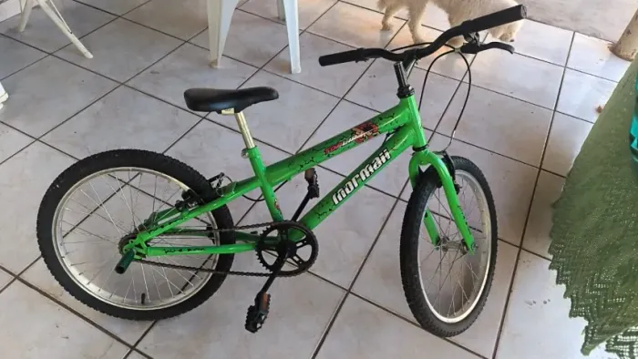 Bicicleta Infantil Aro 20