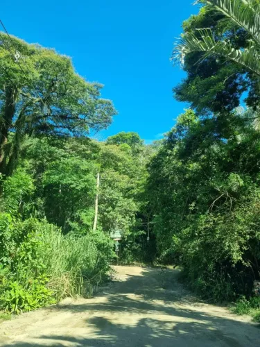 Engenho do Mato lote em lindo local cercado de natureza