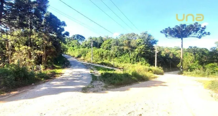 Terreno com 43.640m² | Belle Vie | Bocaiúva do Sul/PR