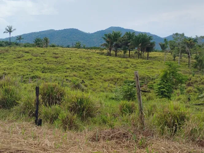 02 lotes um ao lado do outro, muita água é muito pasto.