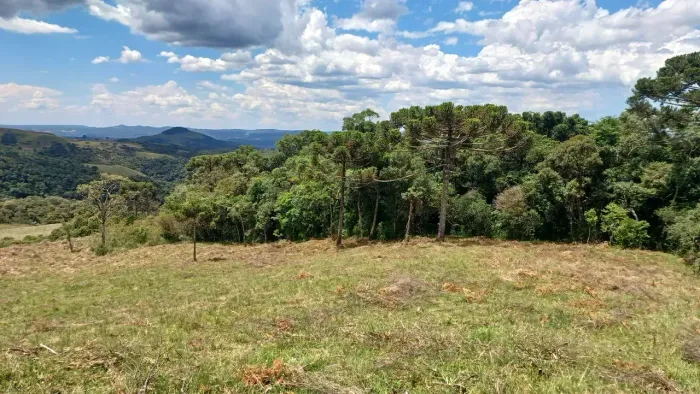 Imóvel para venda com 20000 metros quadrados em Santa Barbara - Alfredo Wagner - SC