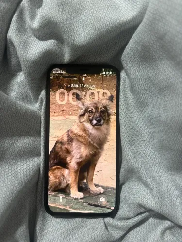 iPhone 12 PRO, 256GB. Troco por Nintendo switch
