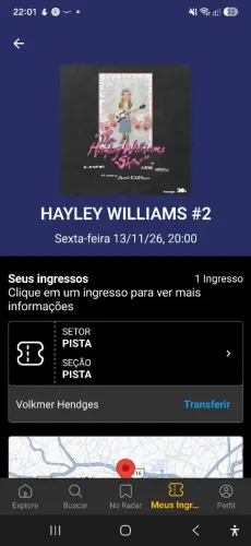 Item show Hayley Williams