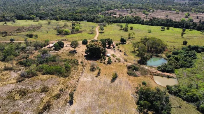 Fazenda de Dupla Aptidão - Silvanópolis