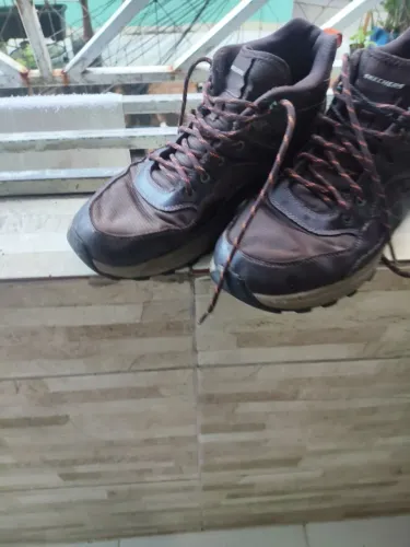 Sapato skechers