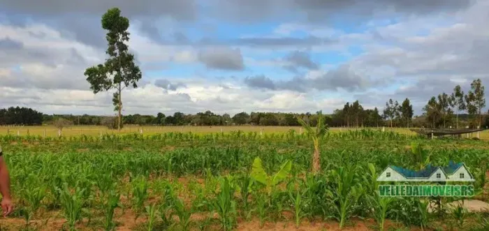 Velleda oferece magnífico sítio de 2 hectares em Águas Claras, local de muita paz e tranqu