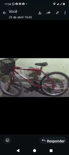 Bicicleta