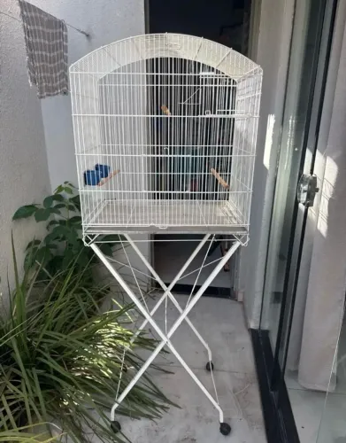 Gaiola para periquito australiano branca
