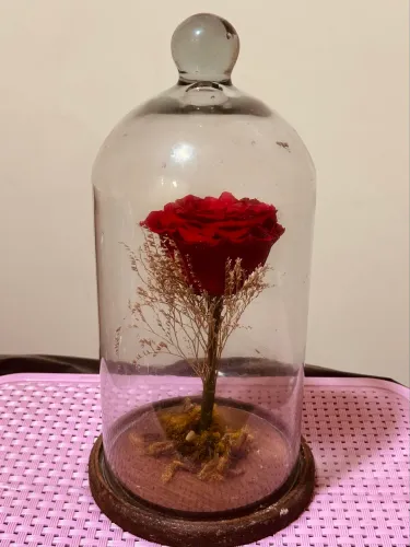 Rosa Verdadeira Eterna