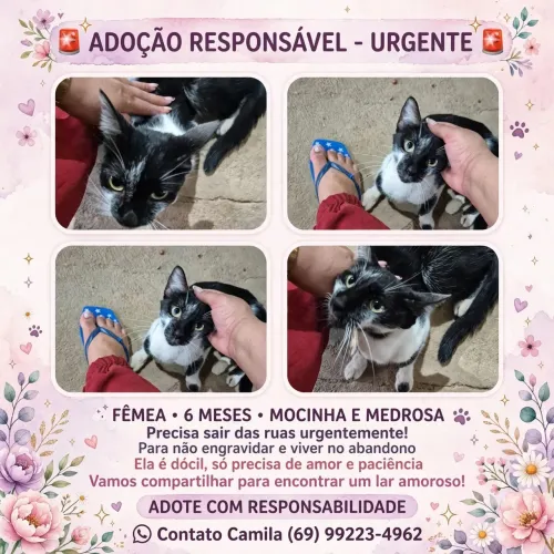 Adoção Responsável