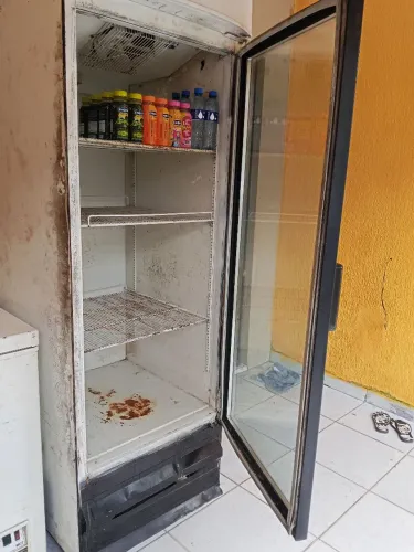 Freezer vertical