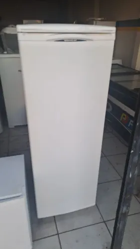 Freezer vertical