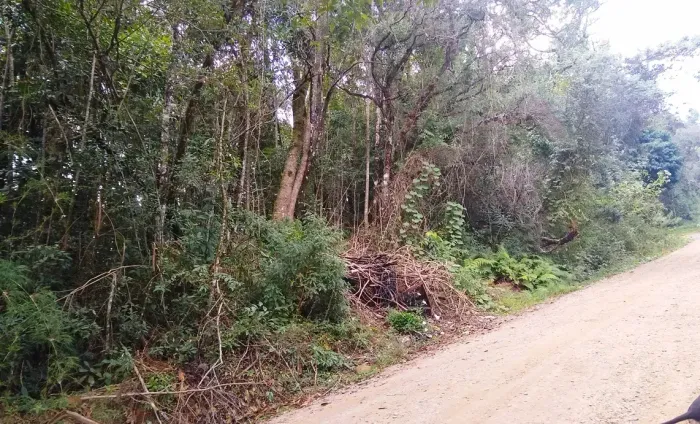 TERRENO COM POSSIBILIDADE DE EMPREENDIMENTO DE HOSPEDAGEM
