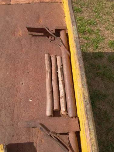 Vendo 4 pé de Pato transportar Elcalipito