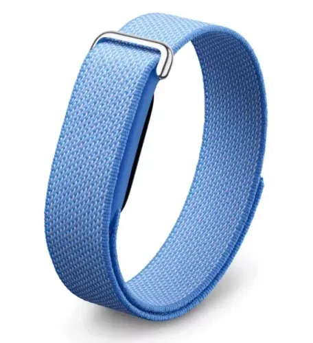 Pulseira Google Fitbit Air