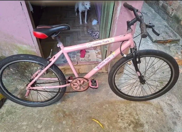 Bicicleta rosa (leia o anúncio)