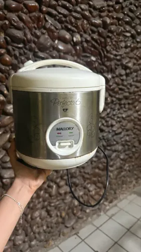 Panela Elétrica Mallory Perfecta 6 (120,00) 