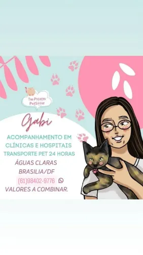 Táxi pet/ Petsitter/ Dog Walker