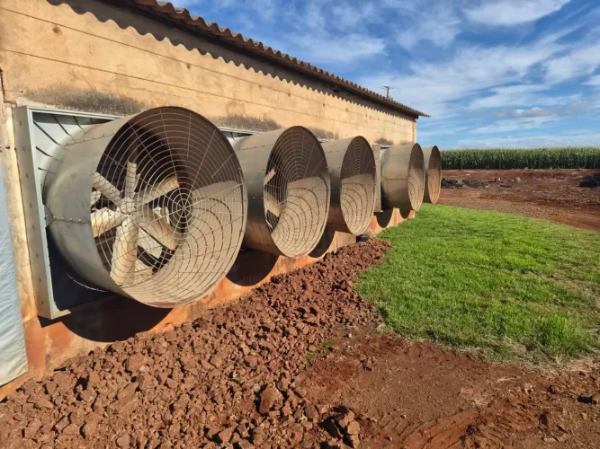 Exaustores para aviário
