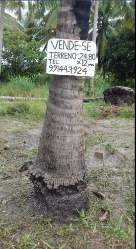 Vendo Terreno em barra nova medindo 24,80x12