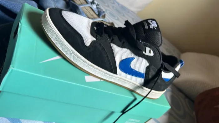 Nike Sb