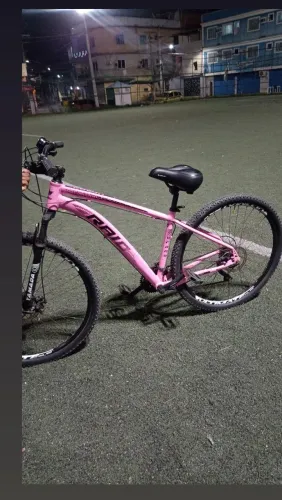 Bicleta Raio Aro 29