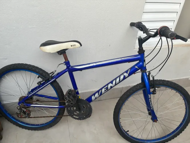 Bike Wendy aro 24