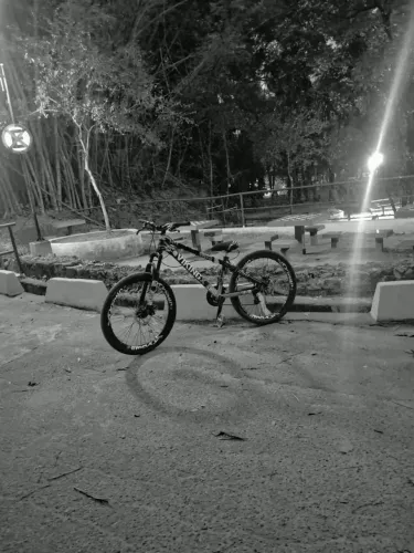 Bicicleta