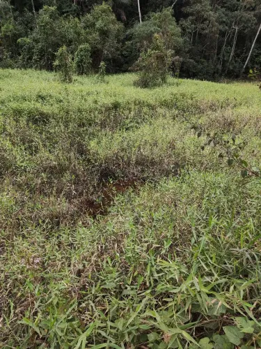 Otimas chácaras, apenas 700 mts da BR 262, 15 minutos de Pedra Azul, perto Casa da Bica