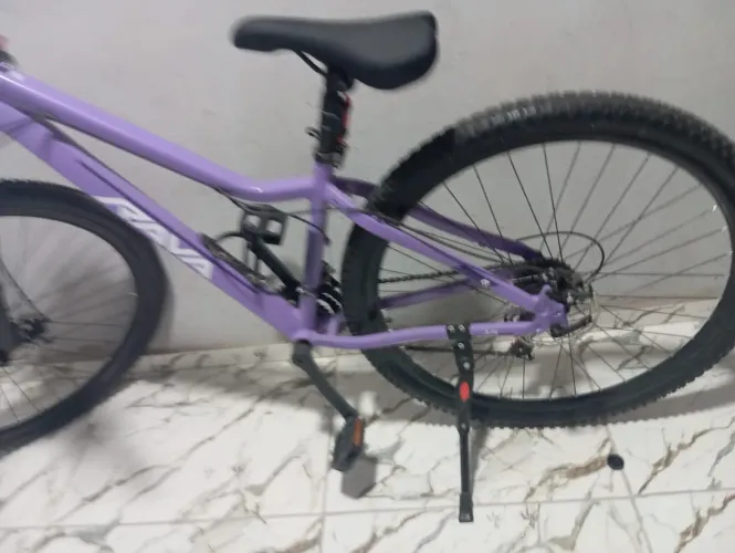 BICICLETA RAVA ARO 29