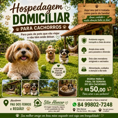 Hospedagem para cães de pequeno porte