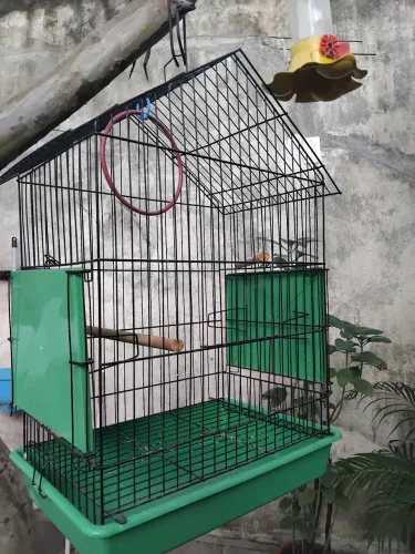 Gaiola para Calopsita 