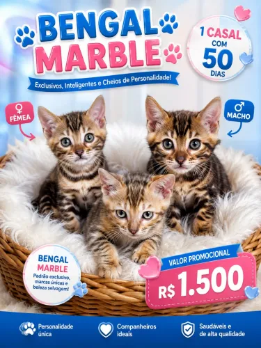 Bengal marble disponível