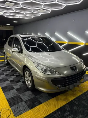 Peugeot 307 Soleil/ Presence 1.6/1.6 Flex 16V 5P 2010