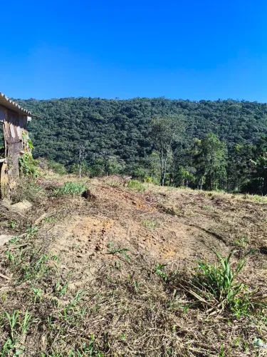 Terreno pronto para construir e plantar!
