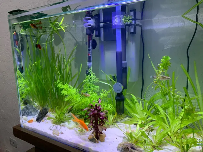 AQUÁRIO 70L COMPLETO 