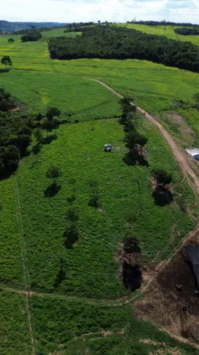 Vendo Fazenda em Alexânia, pronta para produção de leite, 11,3 Alqueires