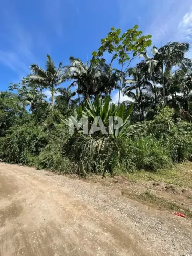 Terreno residencial à venda no bairro porto de cima, Morretes, PR
