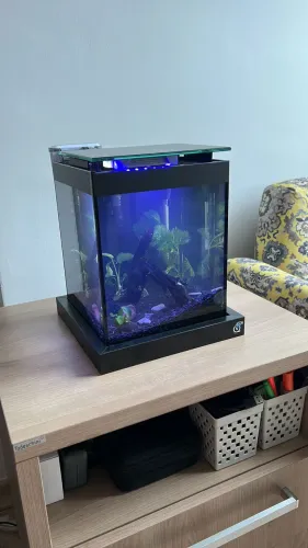 Aquário Nano Black 10 Litros Completo