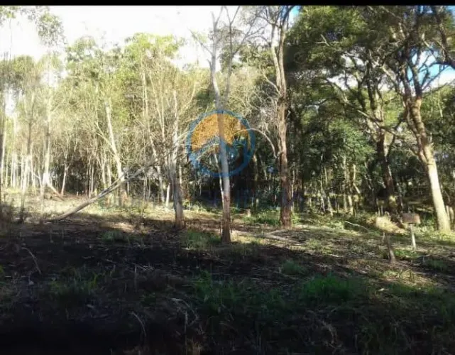 Terreno para Venda em São Lourenço da Serra, Bairro dos pratas