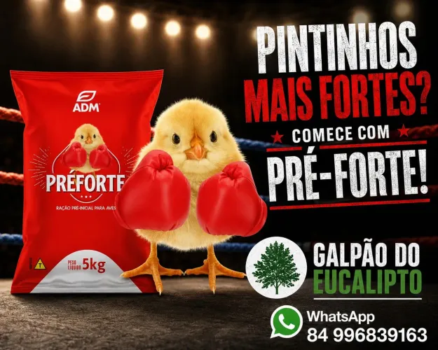 Prefort 5kg
